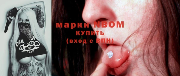 гидропоника Верея