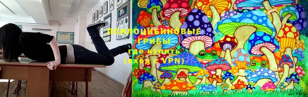 mdpv Верхний Тагил