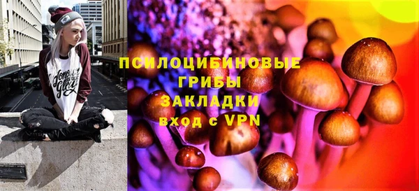 гидропоника Верея