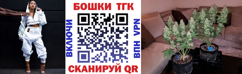 Шишки марихуана Bruce Banner  Томари 